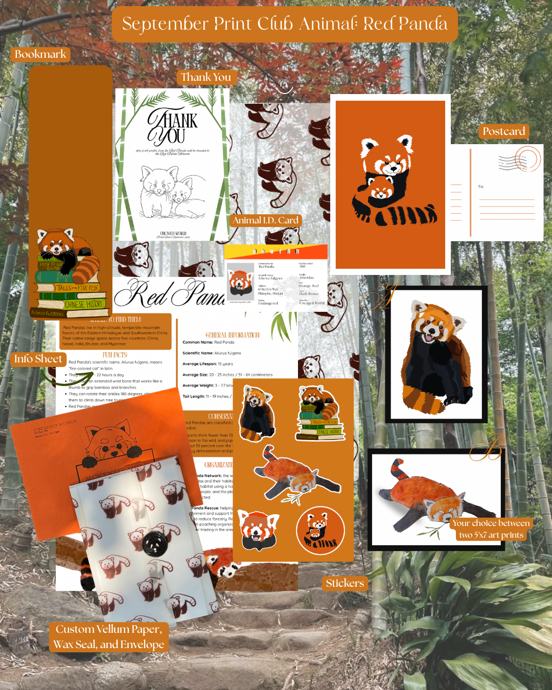 September 2026: Red Panda
