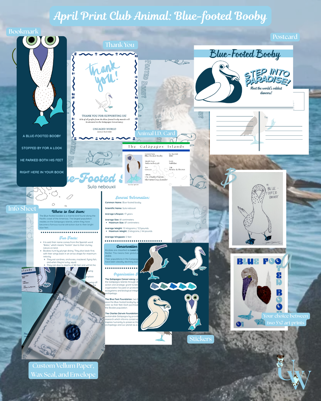 April 2026: Blue-Footed Booby