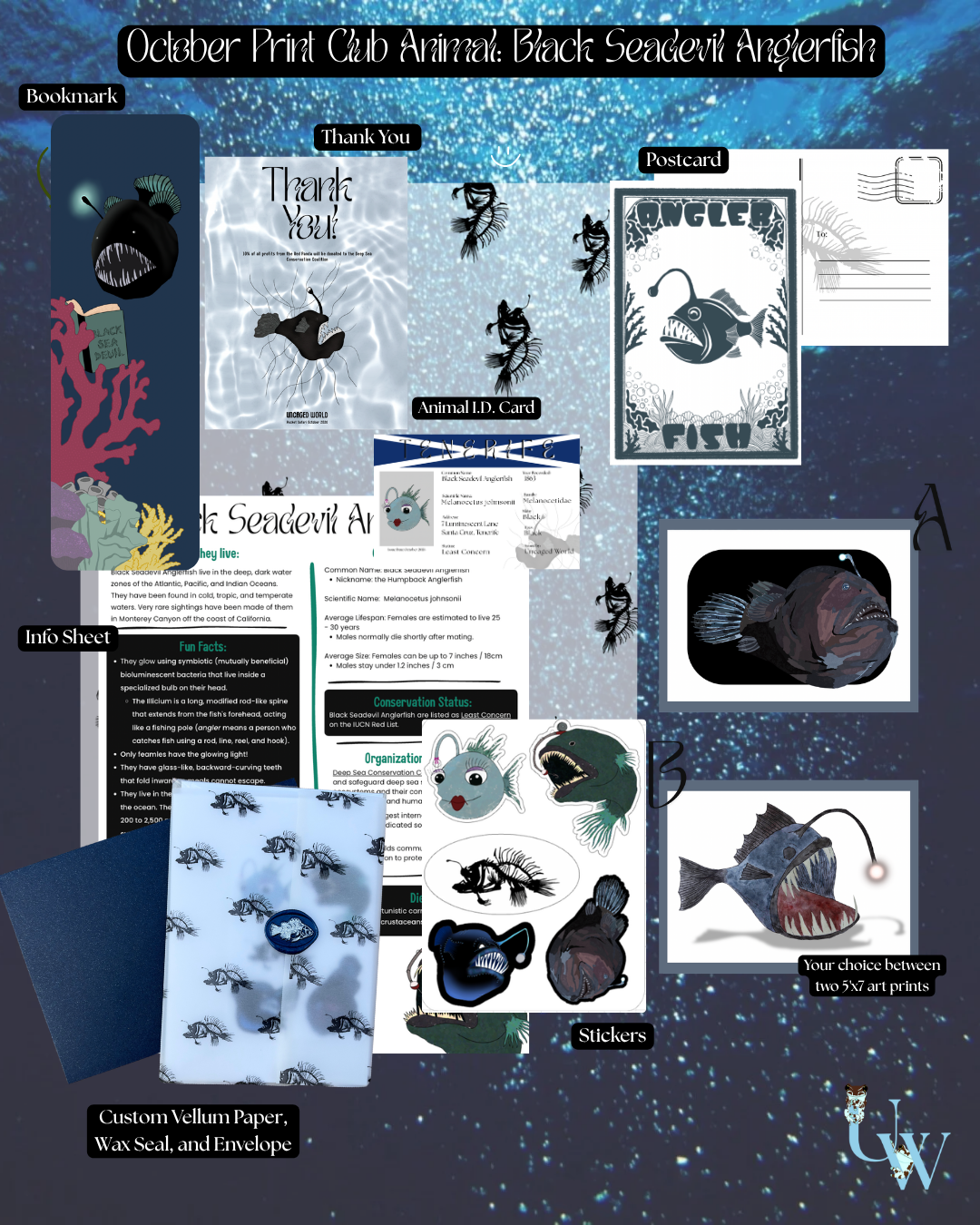 Pocket Safari Mail Club – October: Black Seadevil Anglerfish