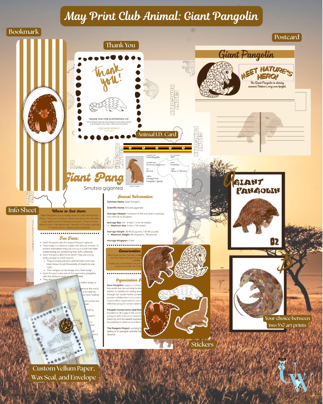 May 2026: Giant Pangolin