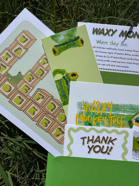 Pocket Safari Mail Club – July: Waxy Monkey Tree Frog