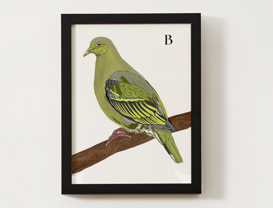 Timor Green Pigeon