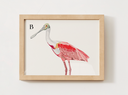 Roseate Spoonbill