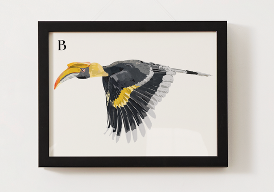 Great Hornbill