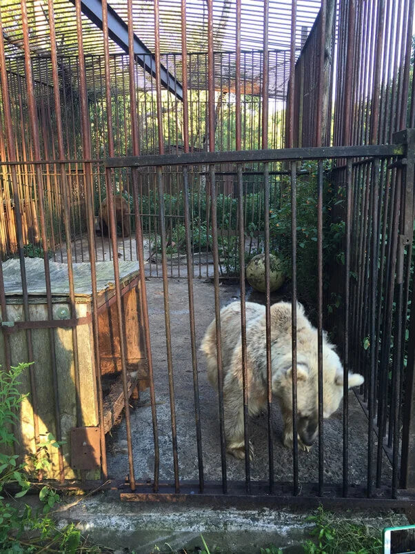 Ethical v. Unethical Sanctuaries