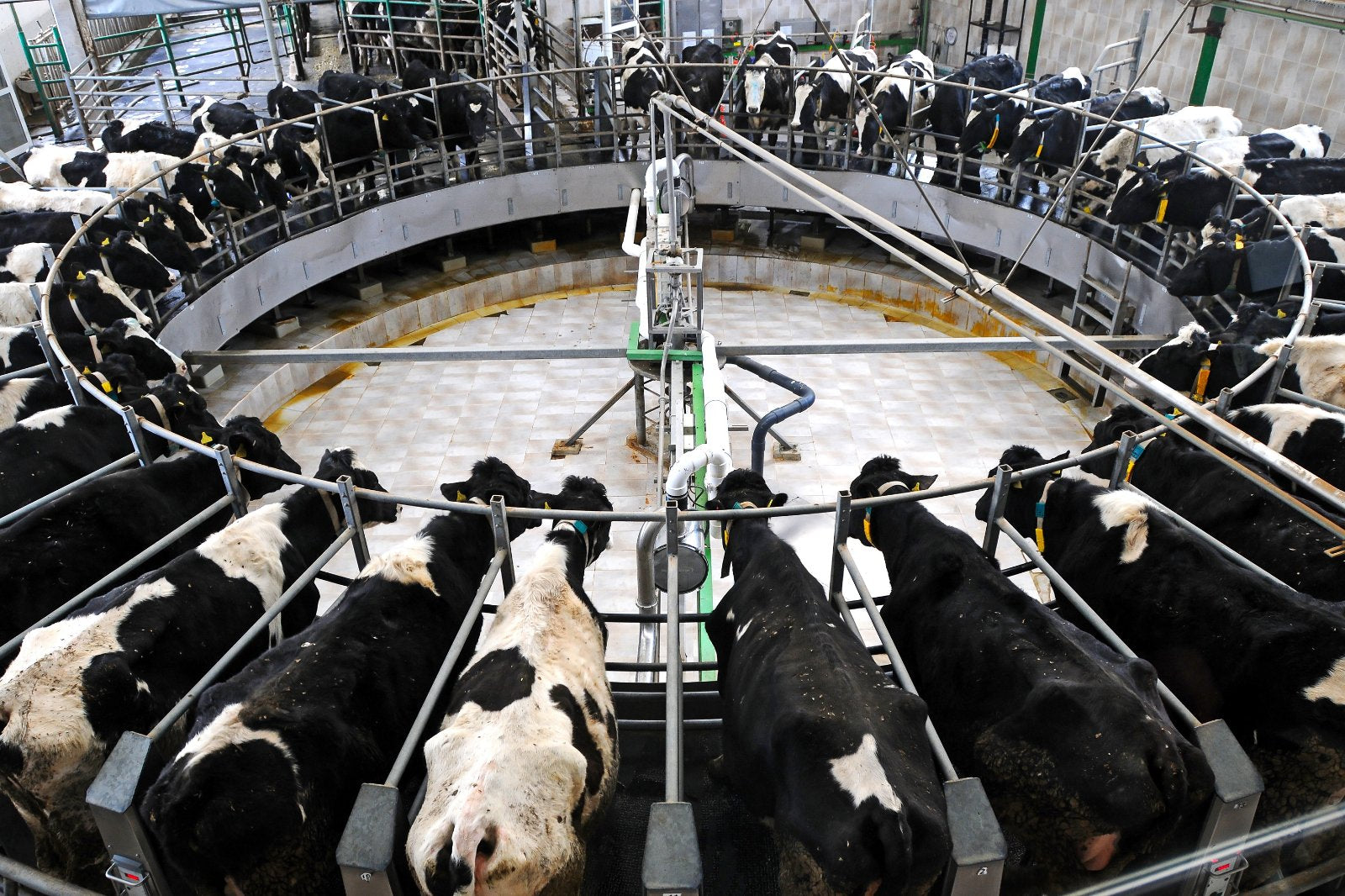Ag-gag Laws