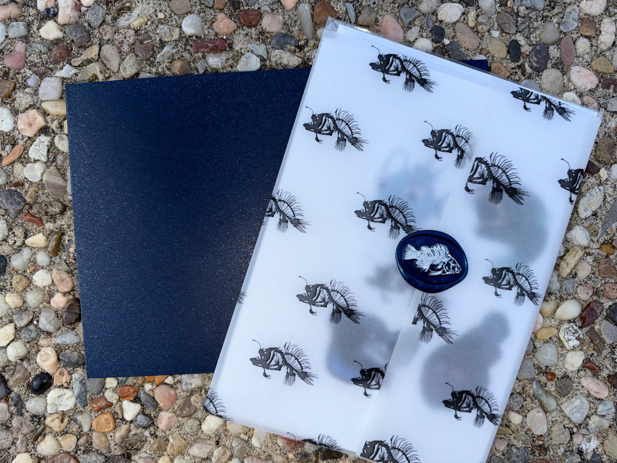 Pocket Safari Mail Club – October: Black Seadevil Anglerfish