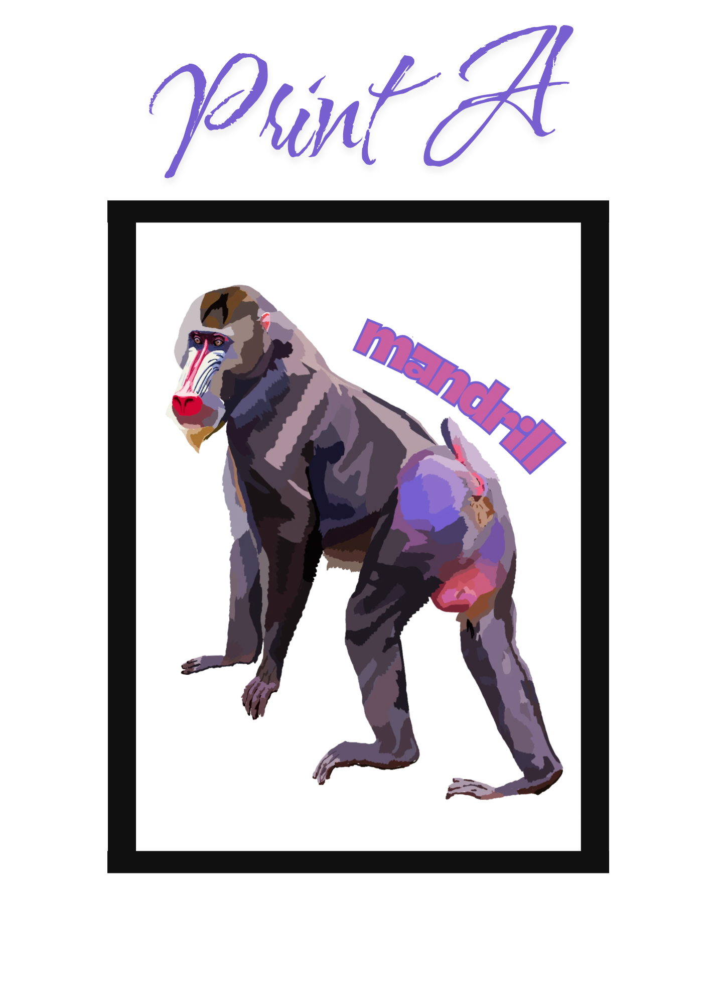 Pocket Safari Mail Club – August: Mandrill