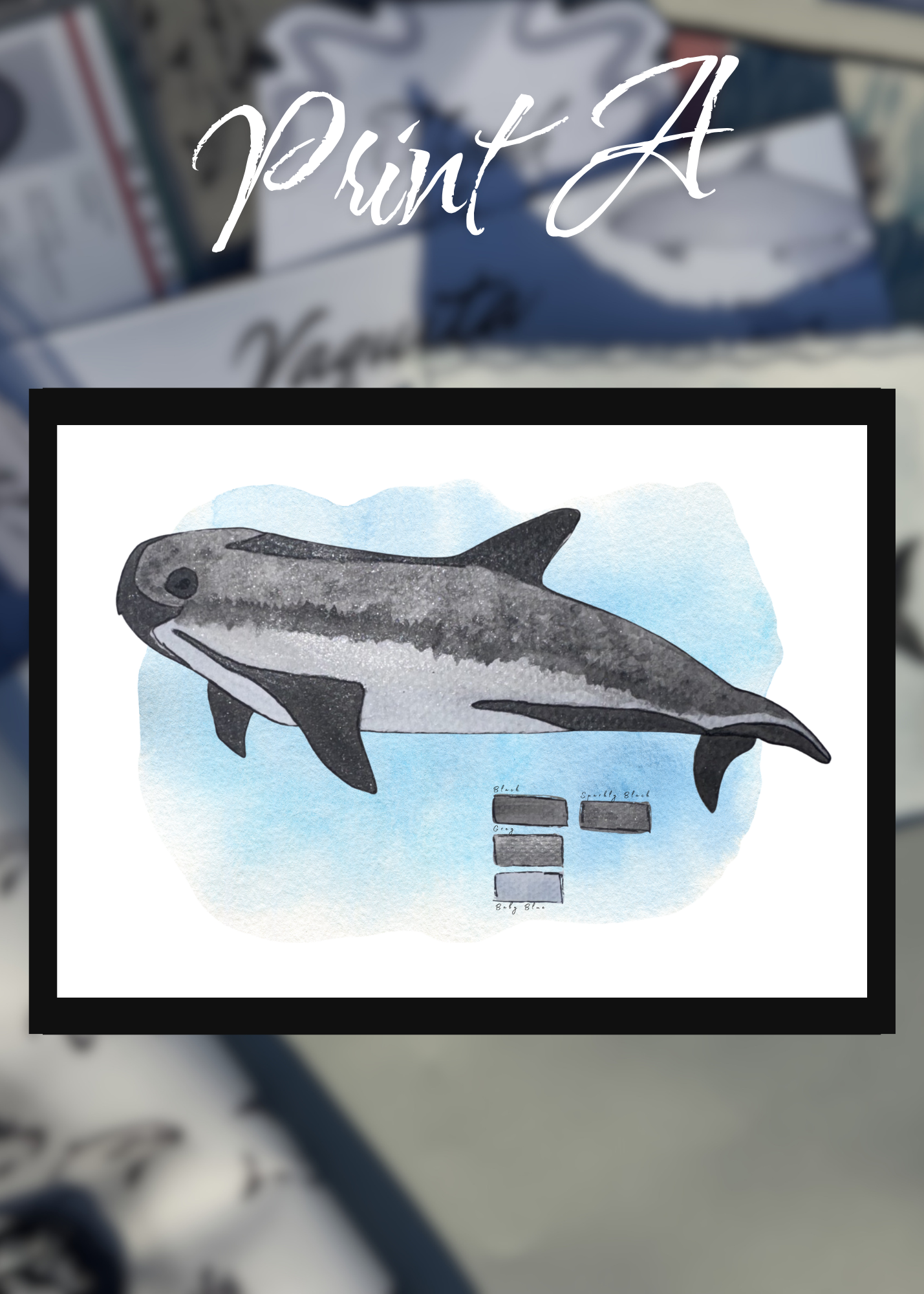 Pocket Safari Mail Club – June: Vaquita