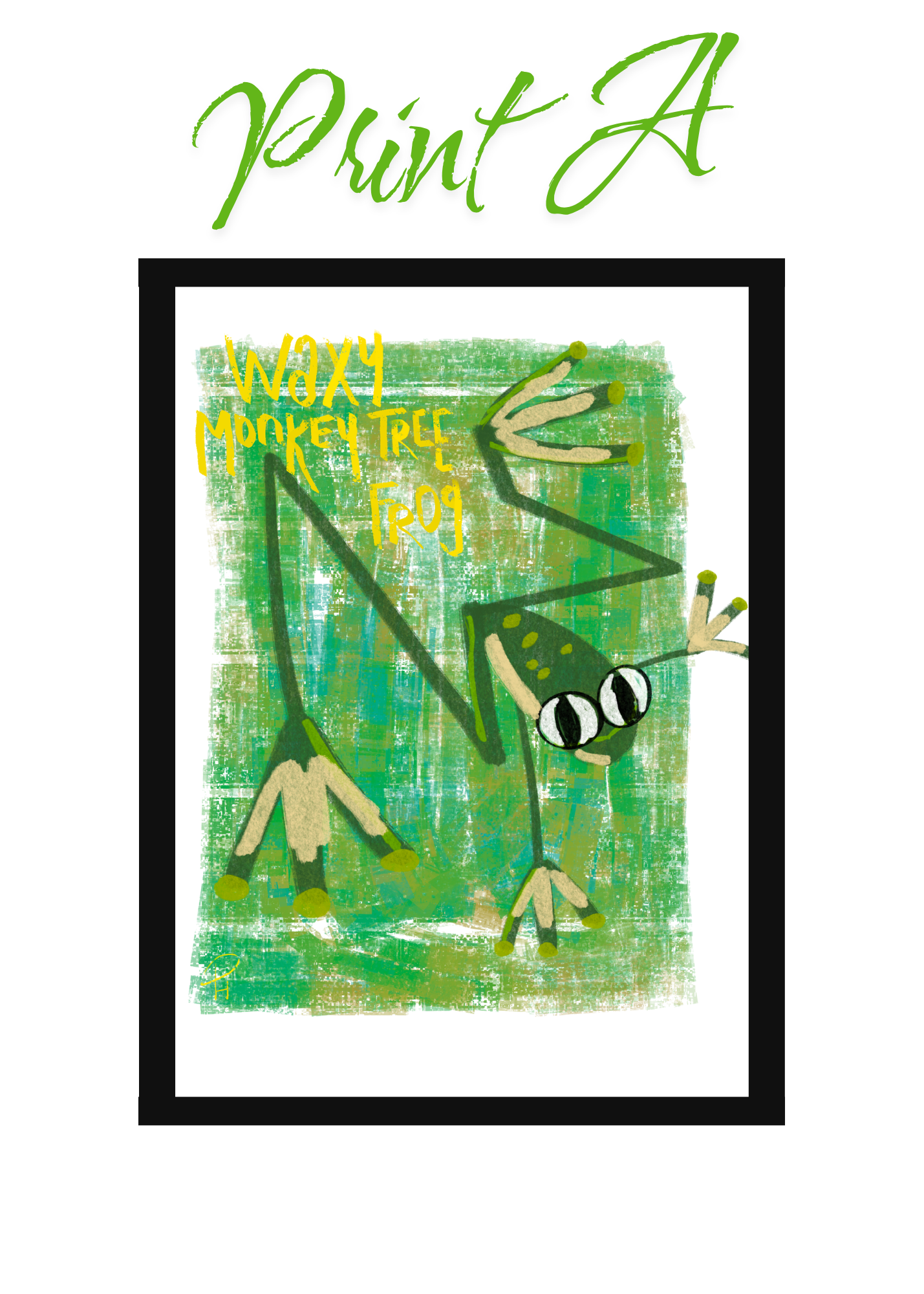Pocket Safari Mail Club – July: Waxy Monkey Tree Frog