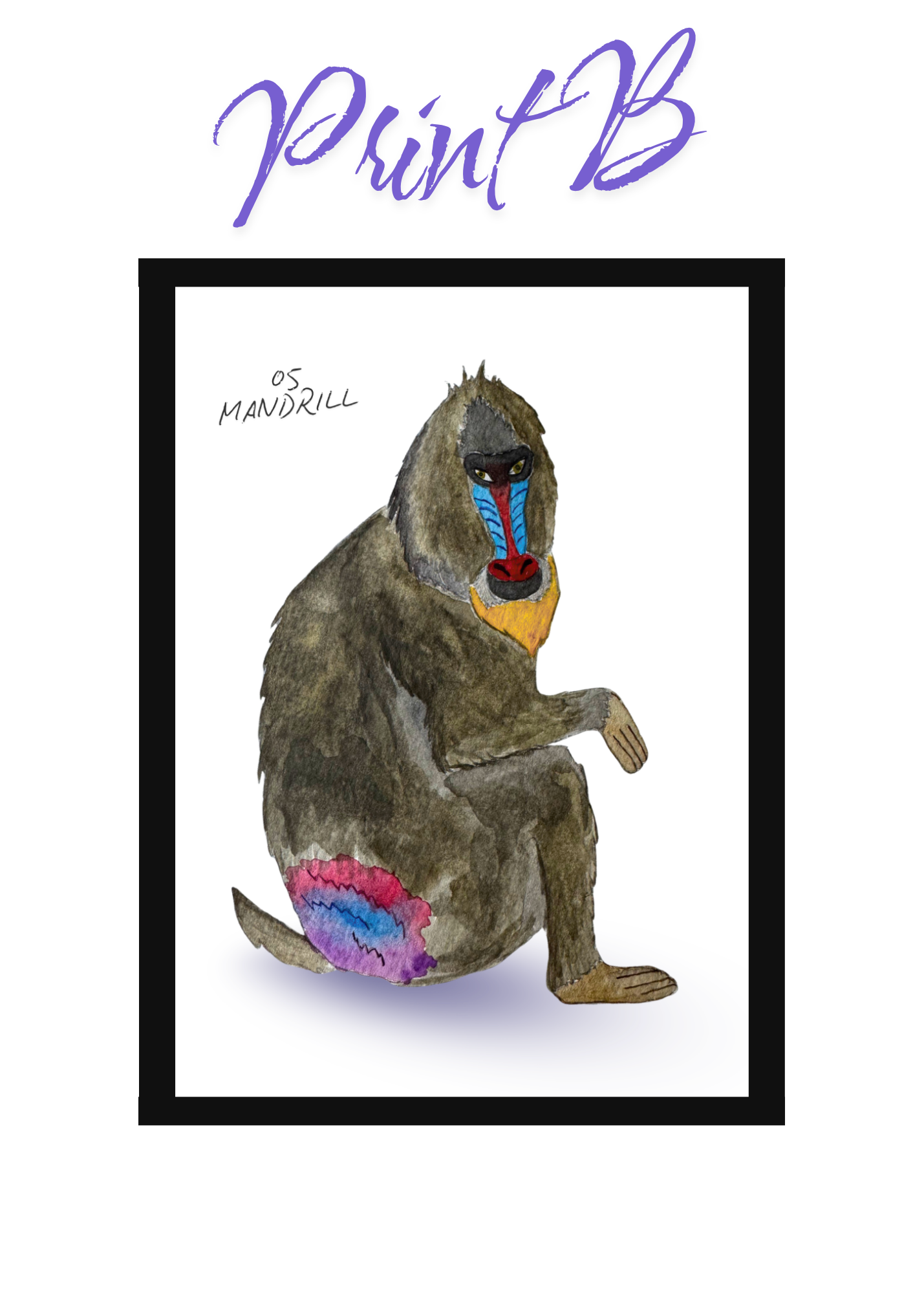 Pocket Safari Mail Club – August: Mandrill