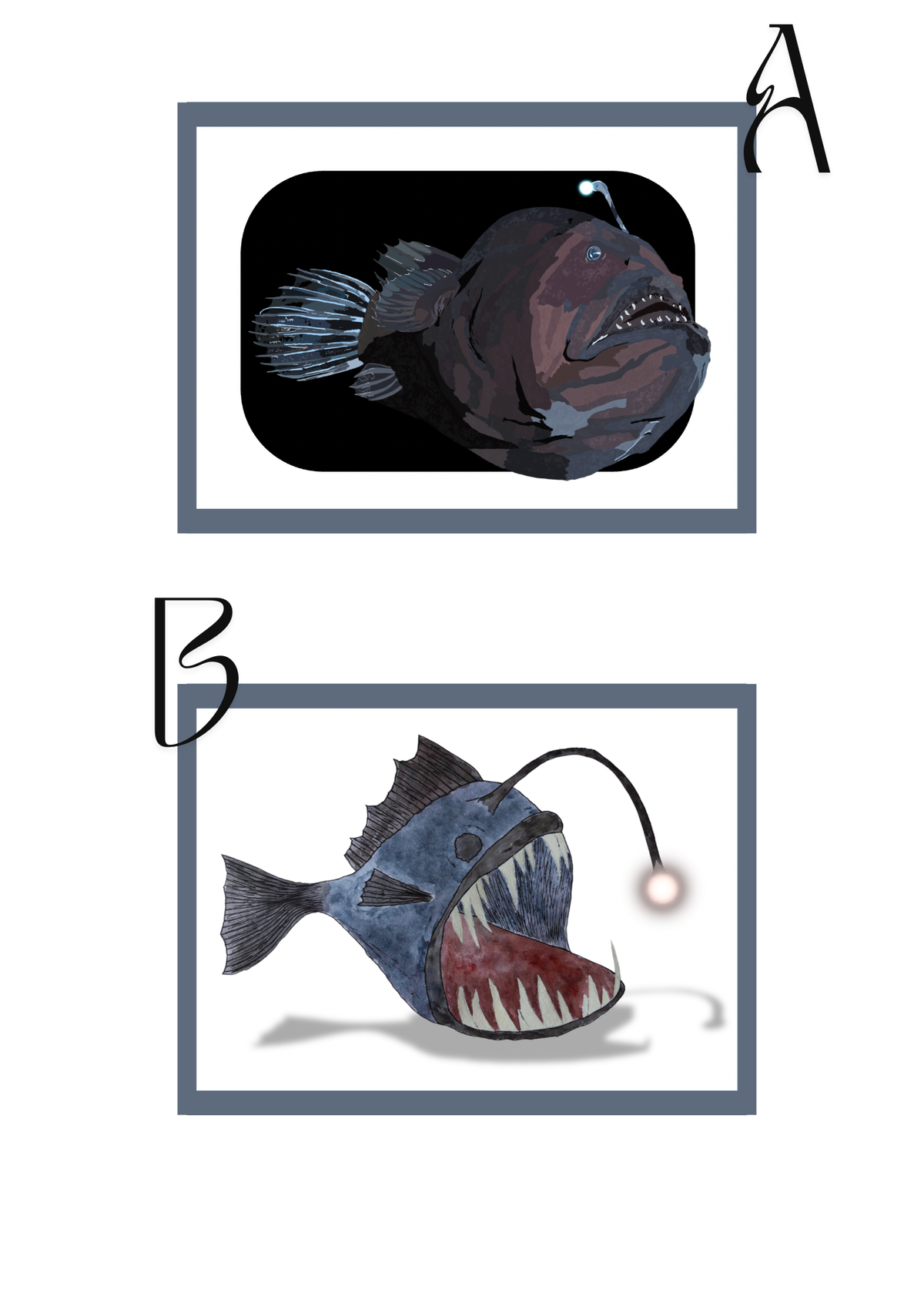 Pocket Safari Mail Club – October: Black Seadevil Anglerfish