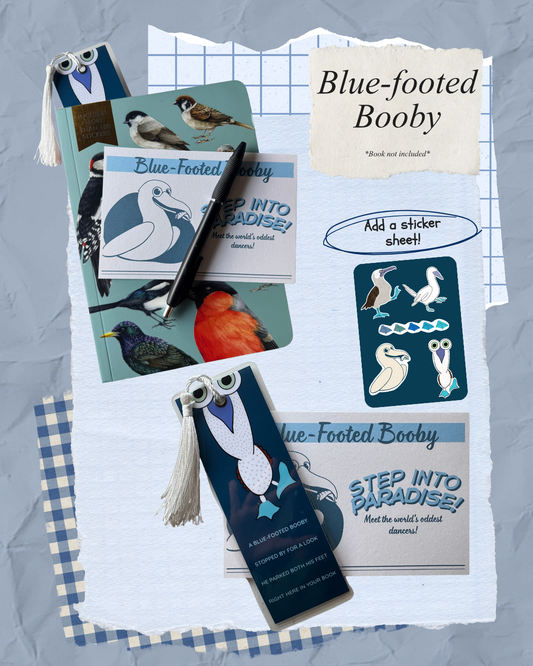 Bookmark + Postcard Pack