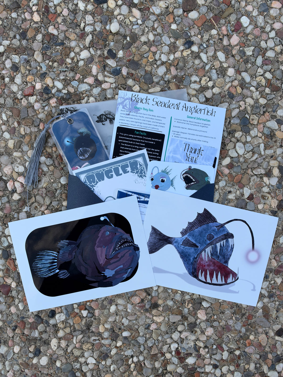 Pocket Safari Mail Club – October: Black Seadevil Anglerfish