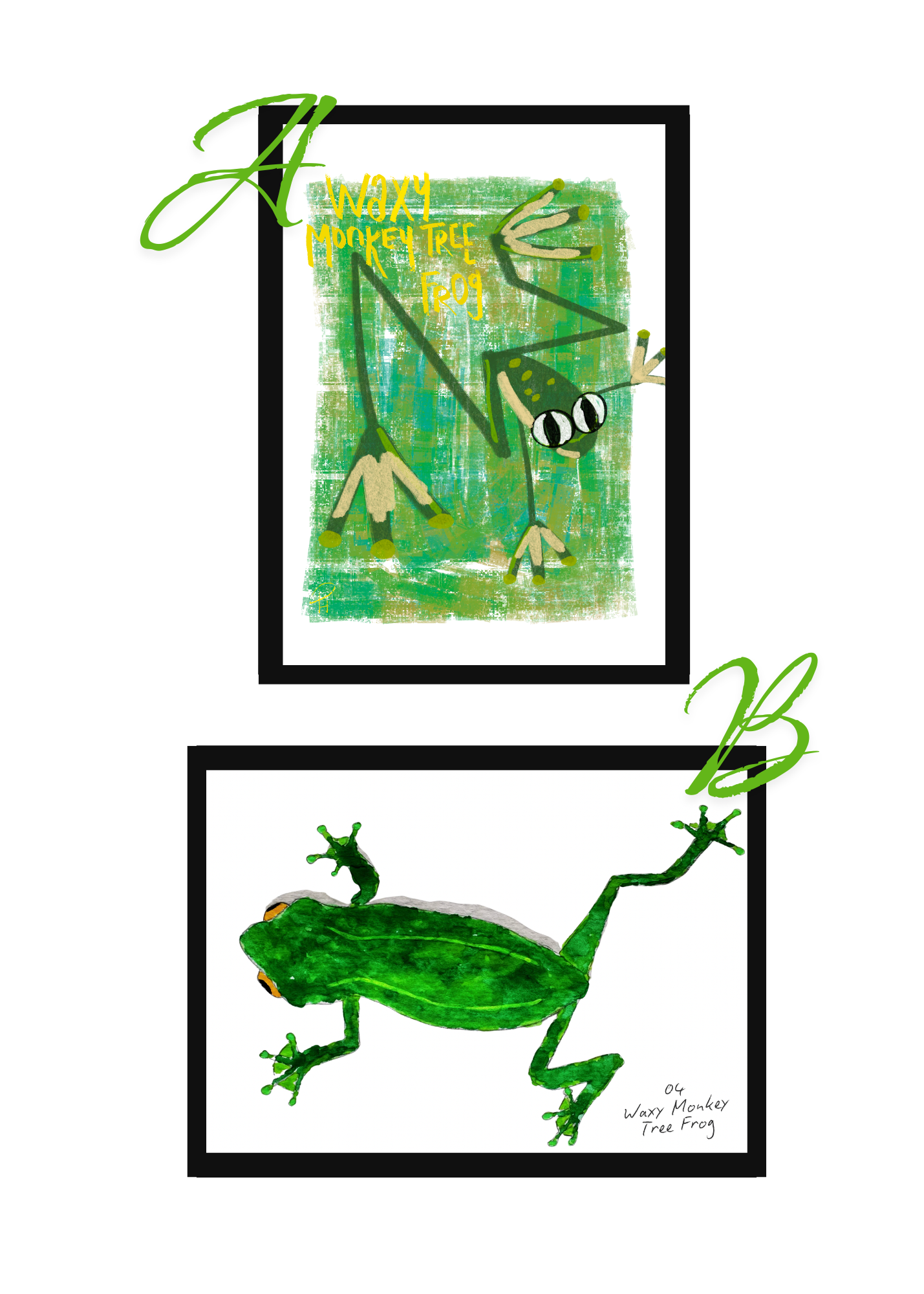 Pocket Safari Mail Club – July: Waxy Monkey Tree Frog