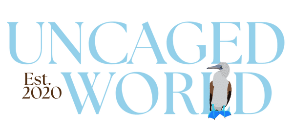 Uncaged World
