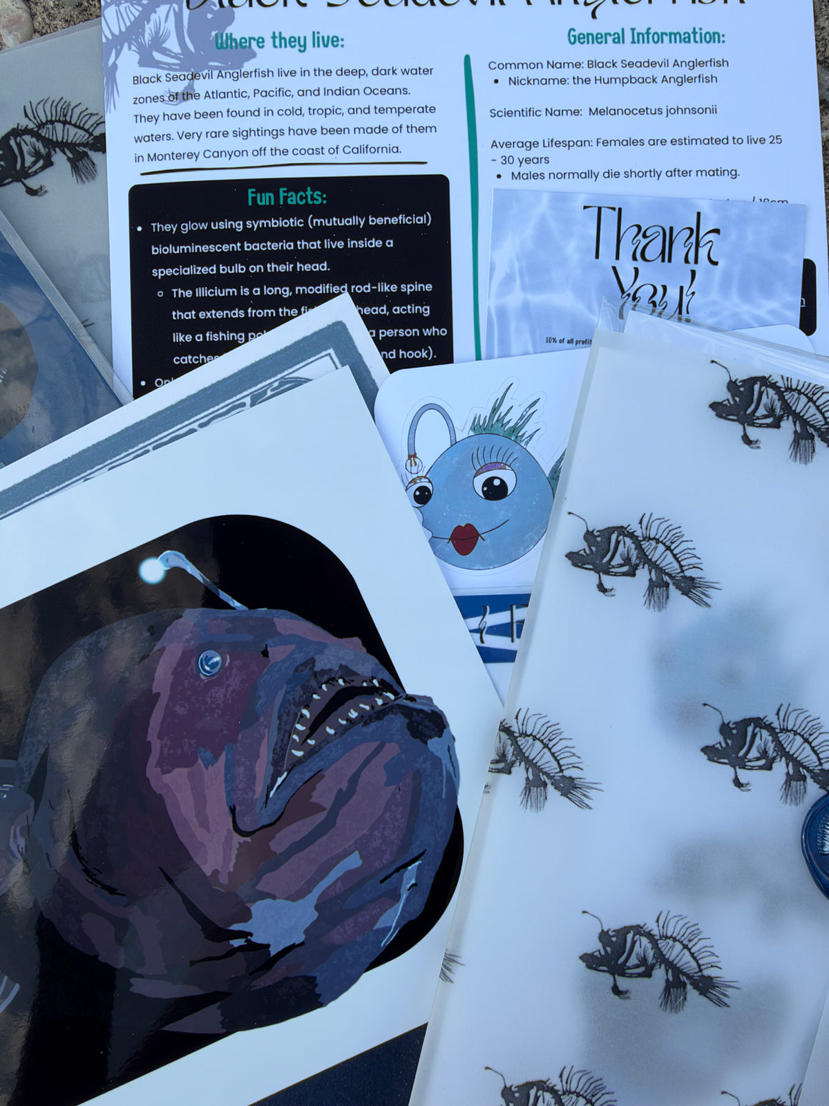 Pocket Safari Mail Club – October: Black Seadevil Anglerfish