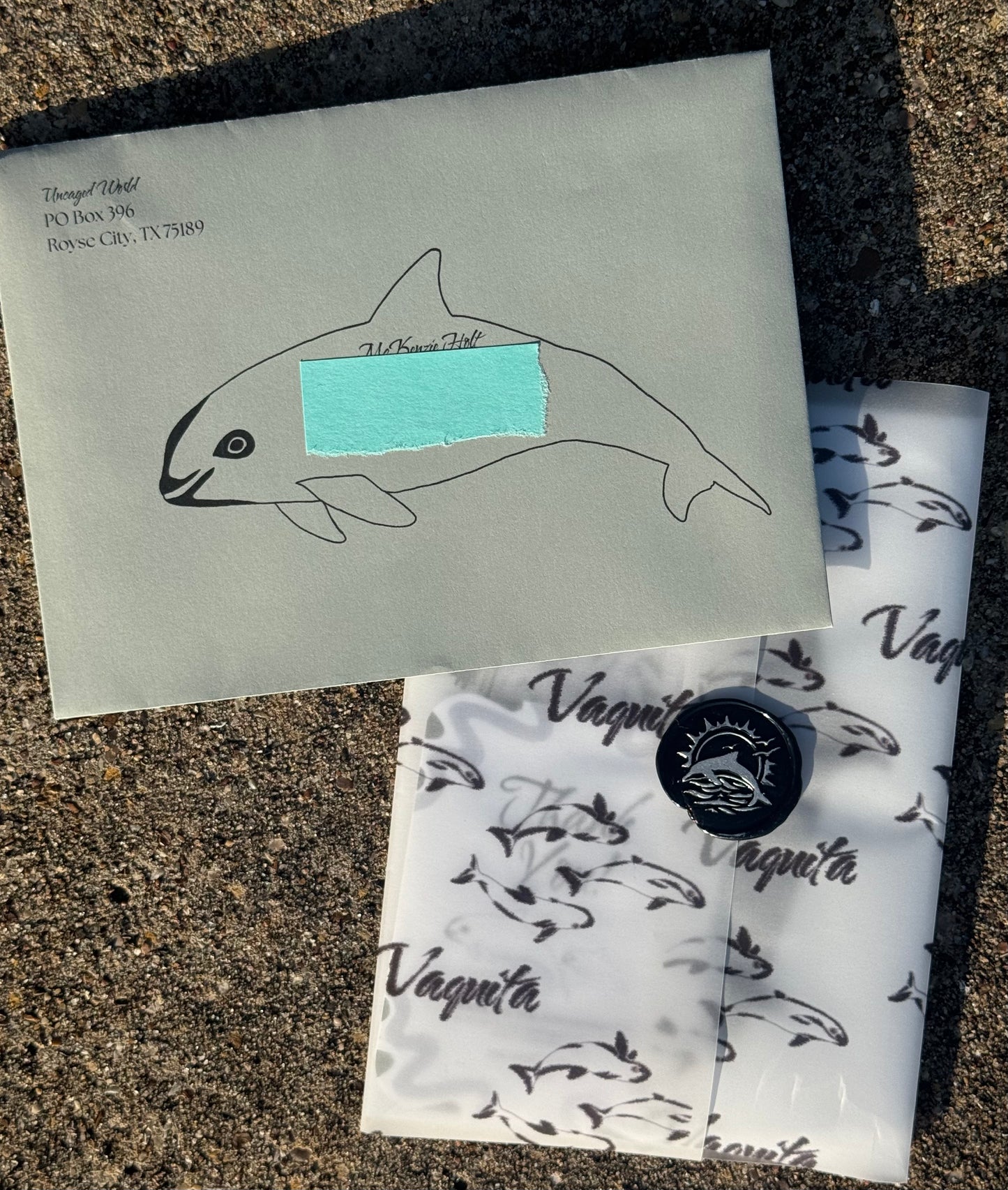 Pocket Safari Mail Club – June: Vaquita