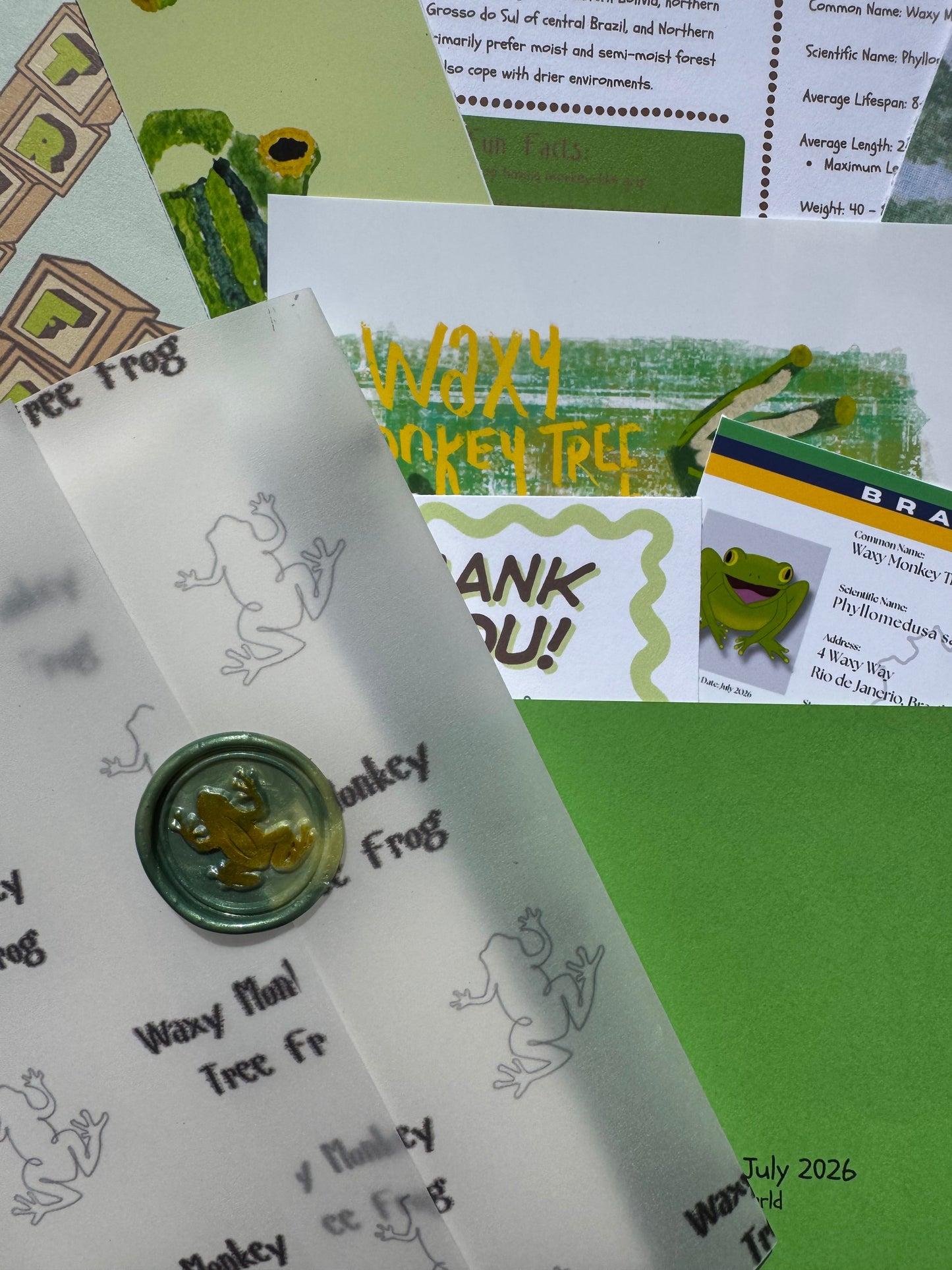 July 2026: Waxy Monkey Tree Frog