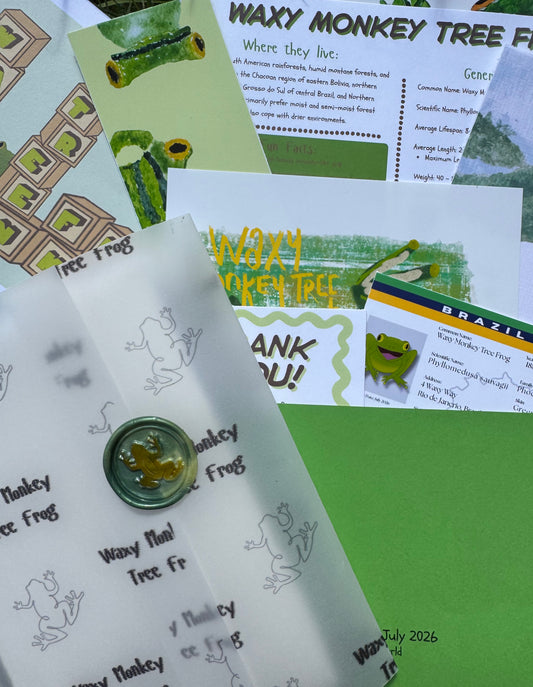 Pocket Safari Mail Club – July: Waxy Monkey Tree Frog