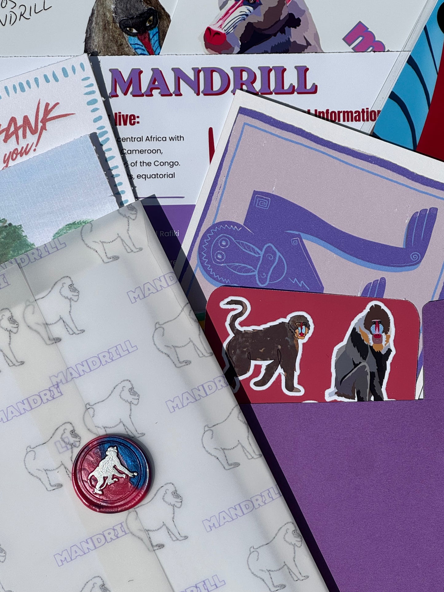 Pocket Safari Mail Club – August: Mandrill