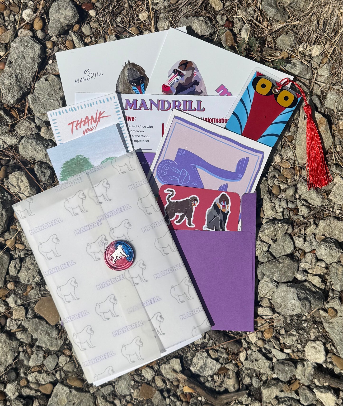 Pocket Safari Mail Club – August: Mandrill