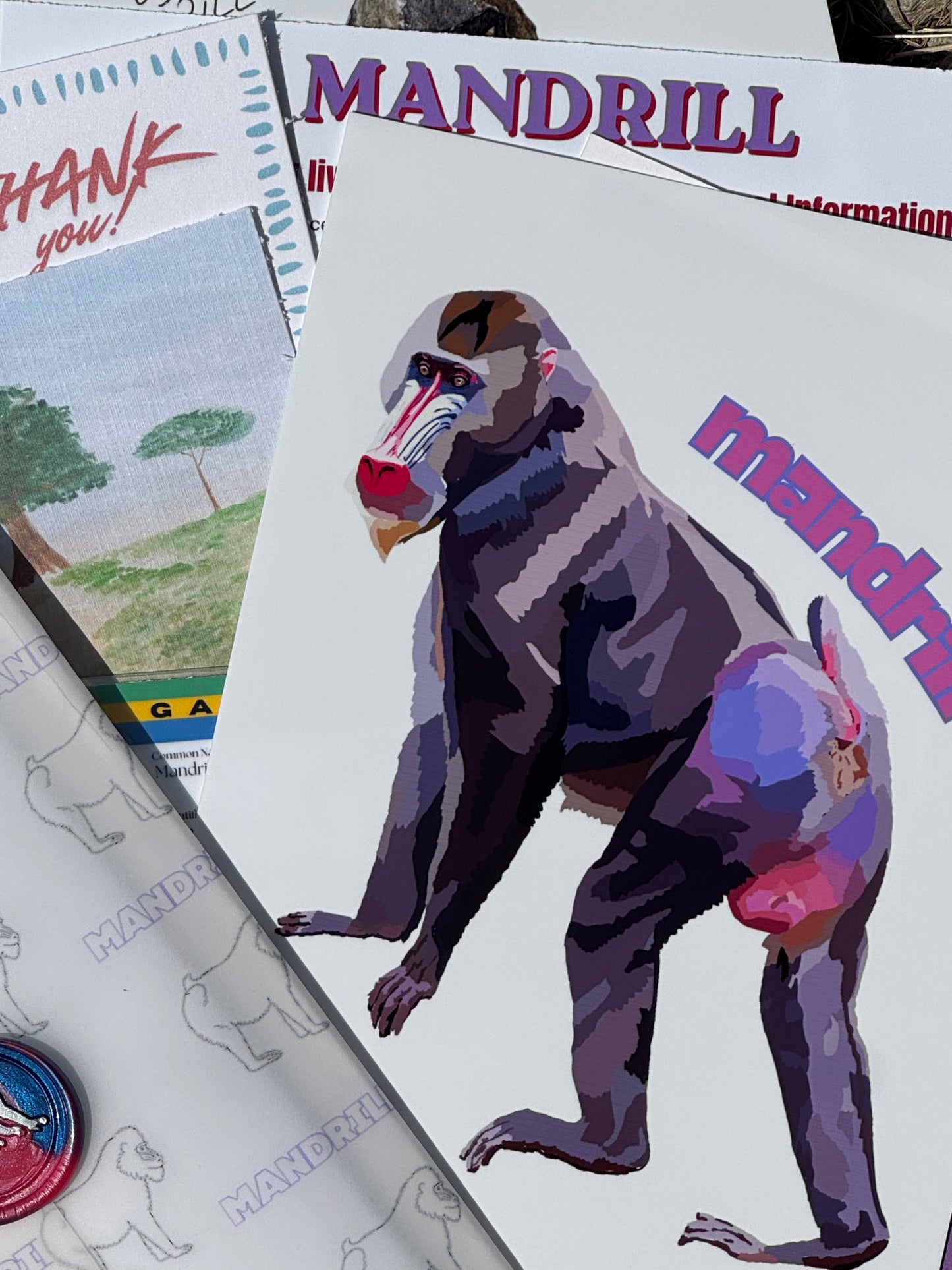 Pocket Safari Mail Club – August: Mandrill