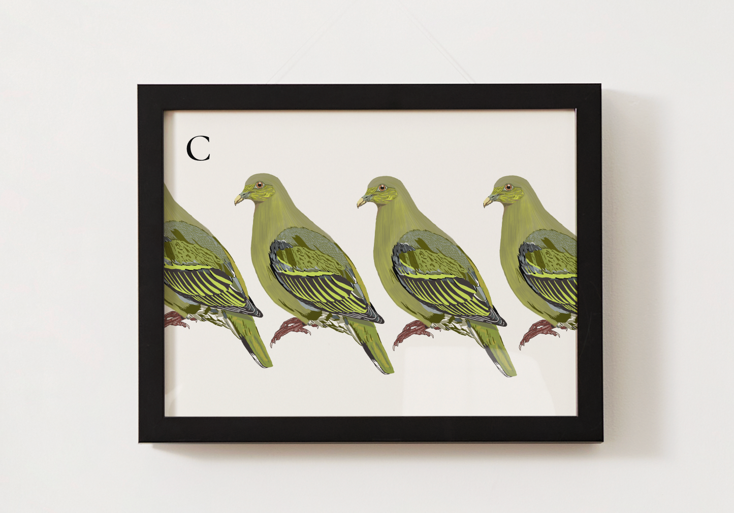 Timor Green Pigeon