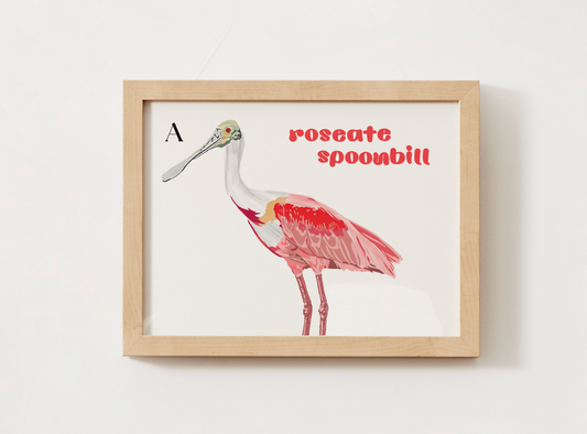 Roseate Spoonbill