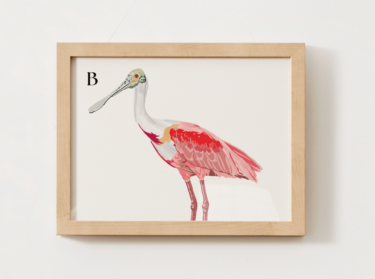 Roseate Spoonbill