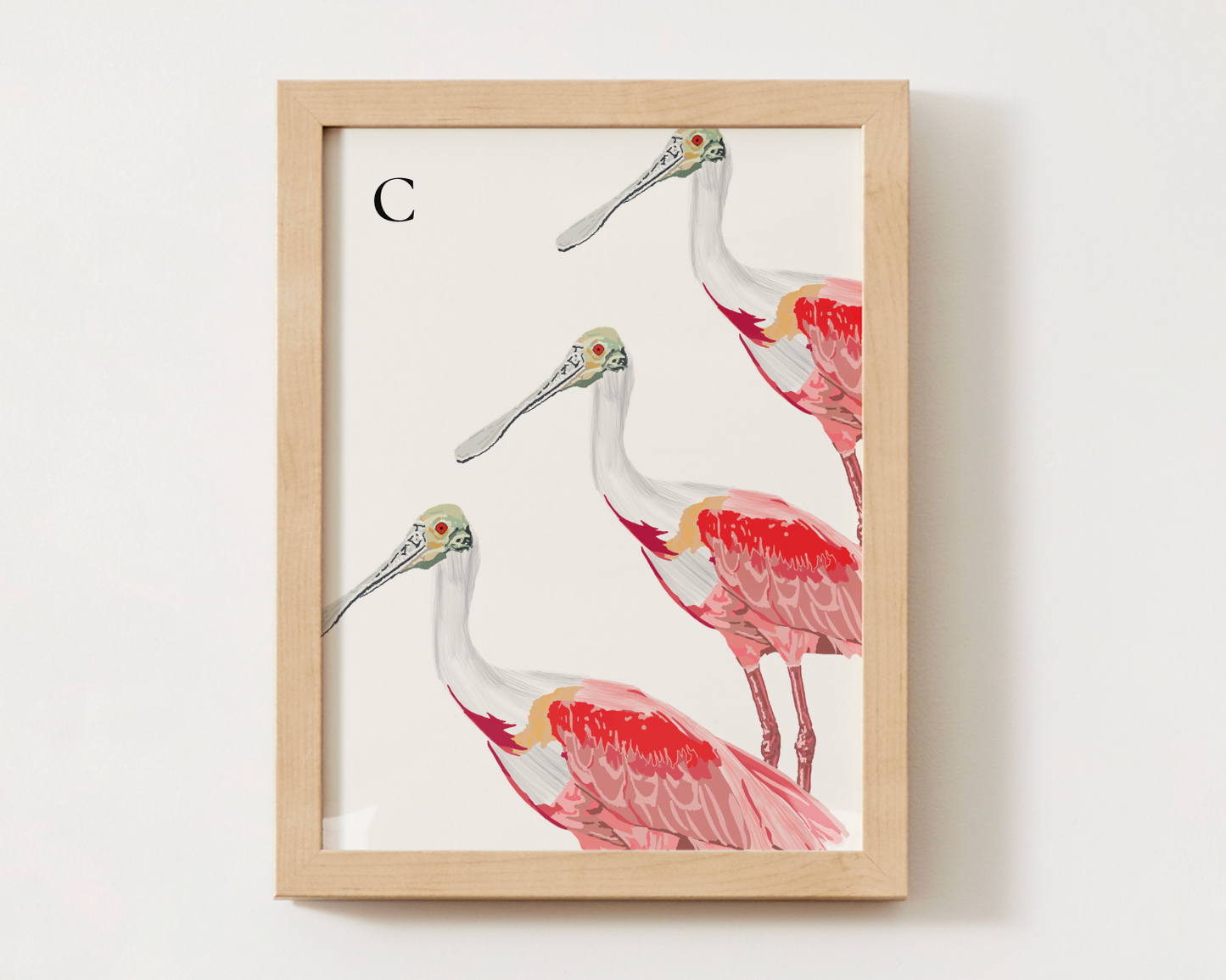 Roseate Spoonbill