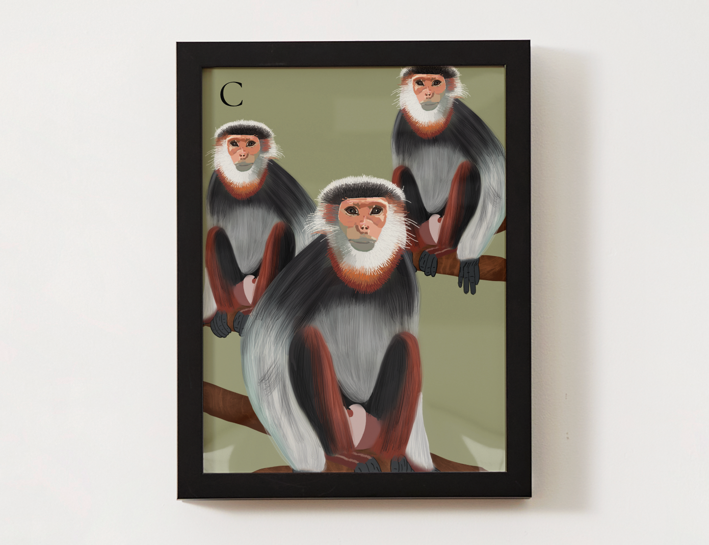 Red-shanked Douc