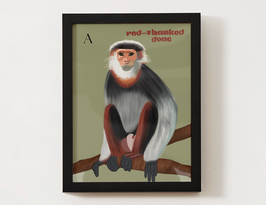 Red-shanked Douc