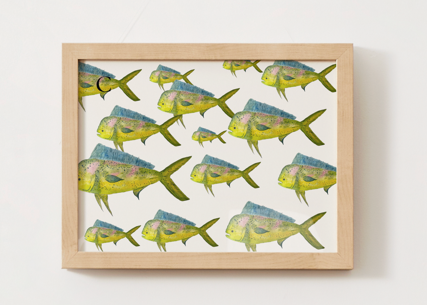 Mahi-mahi