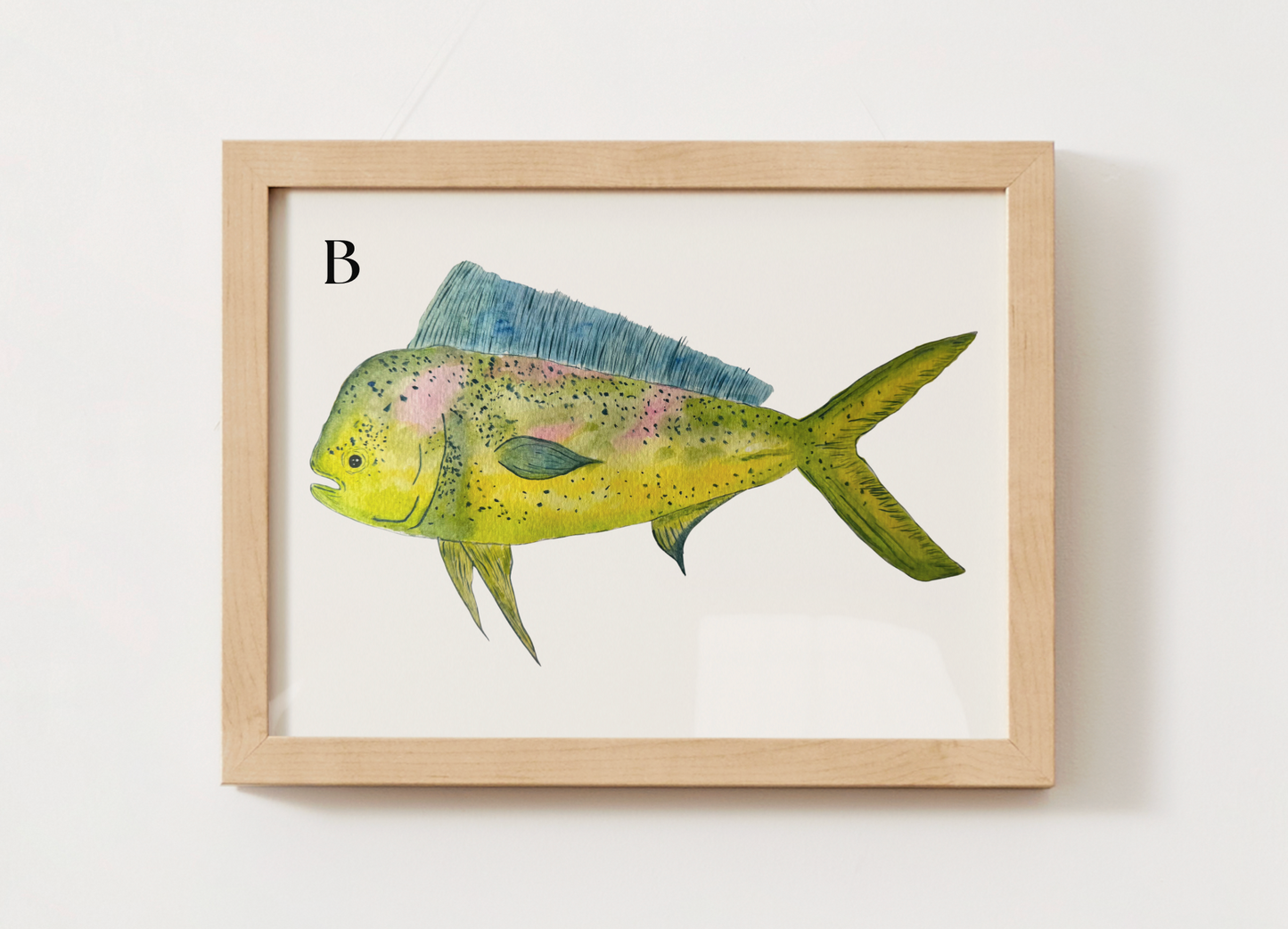 Mahi-mahi
