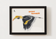 Great Hornbill
