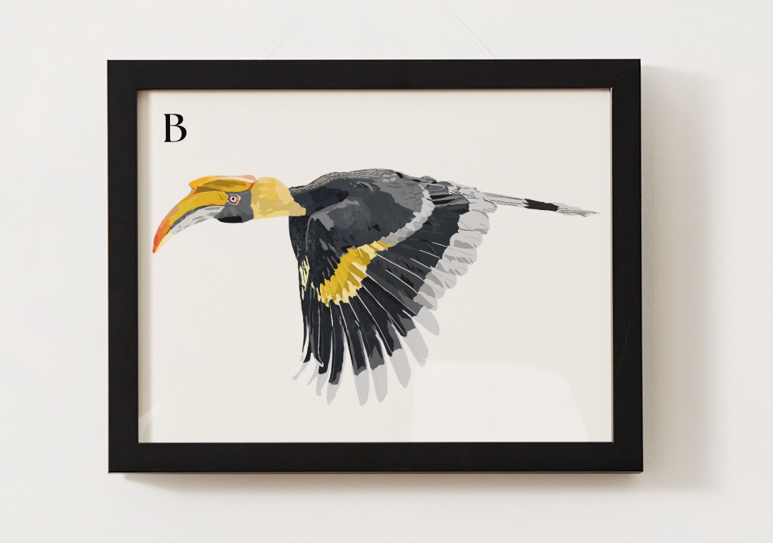 Great Hornbill