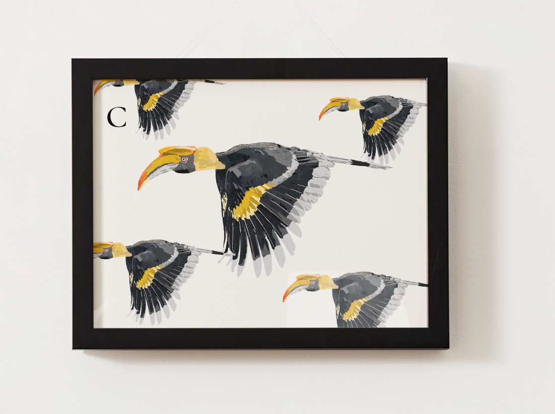 Great Hornbill