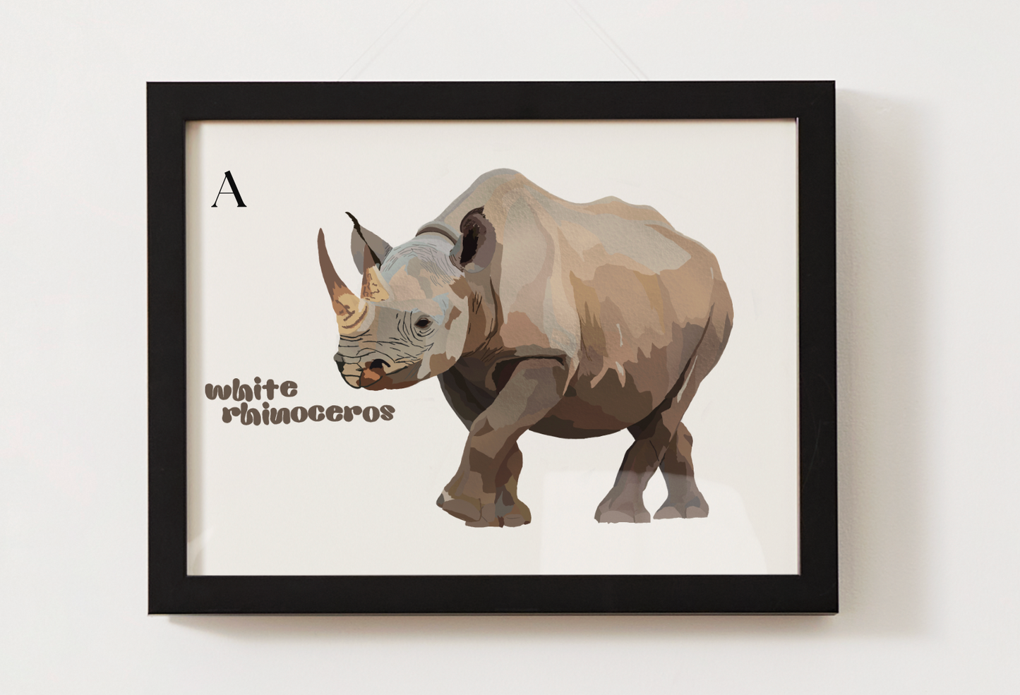 White Rhinoceros