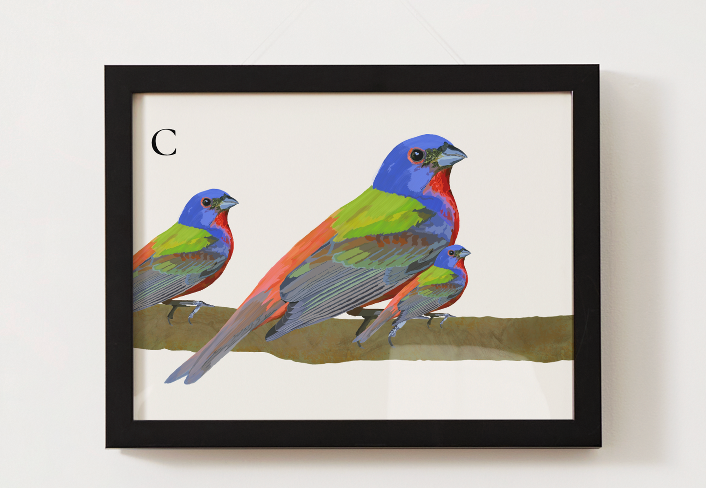 Painted Bunting