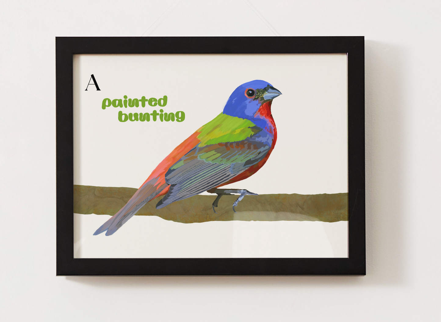 Painted Bunting