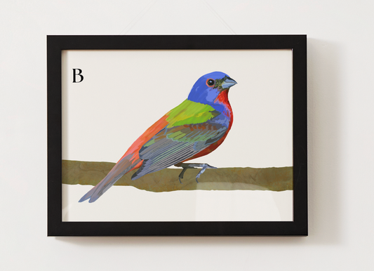 Painted Bunting