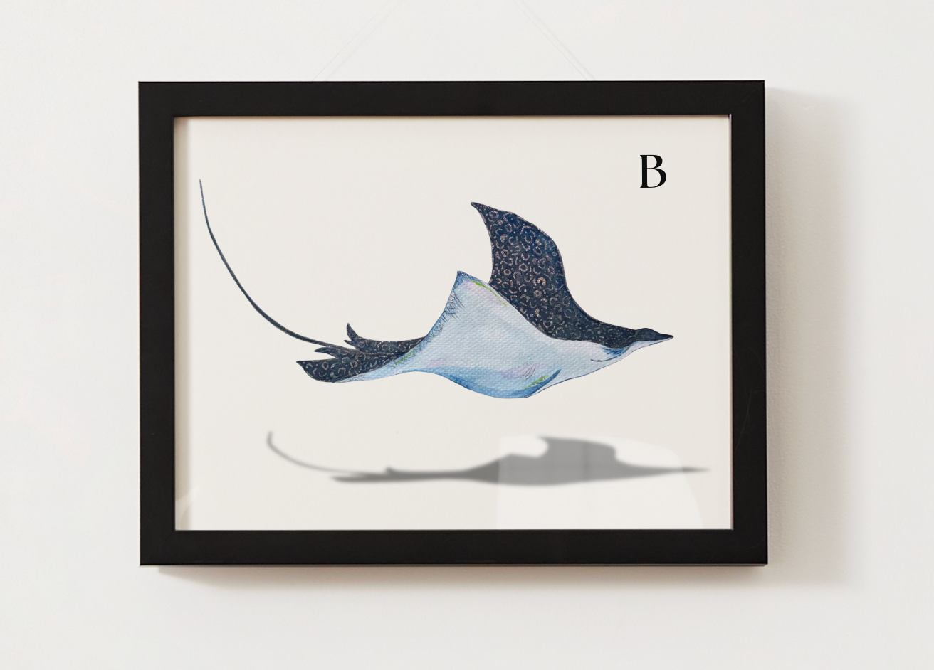Spotted Eagle Ray