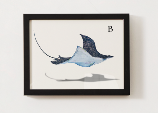 Spotted Eagle Ray