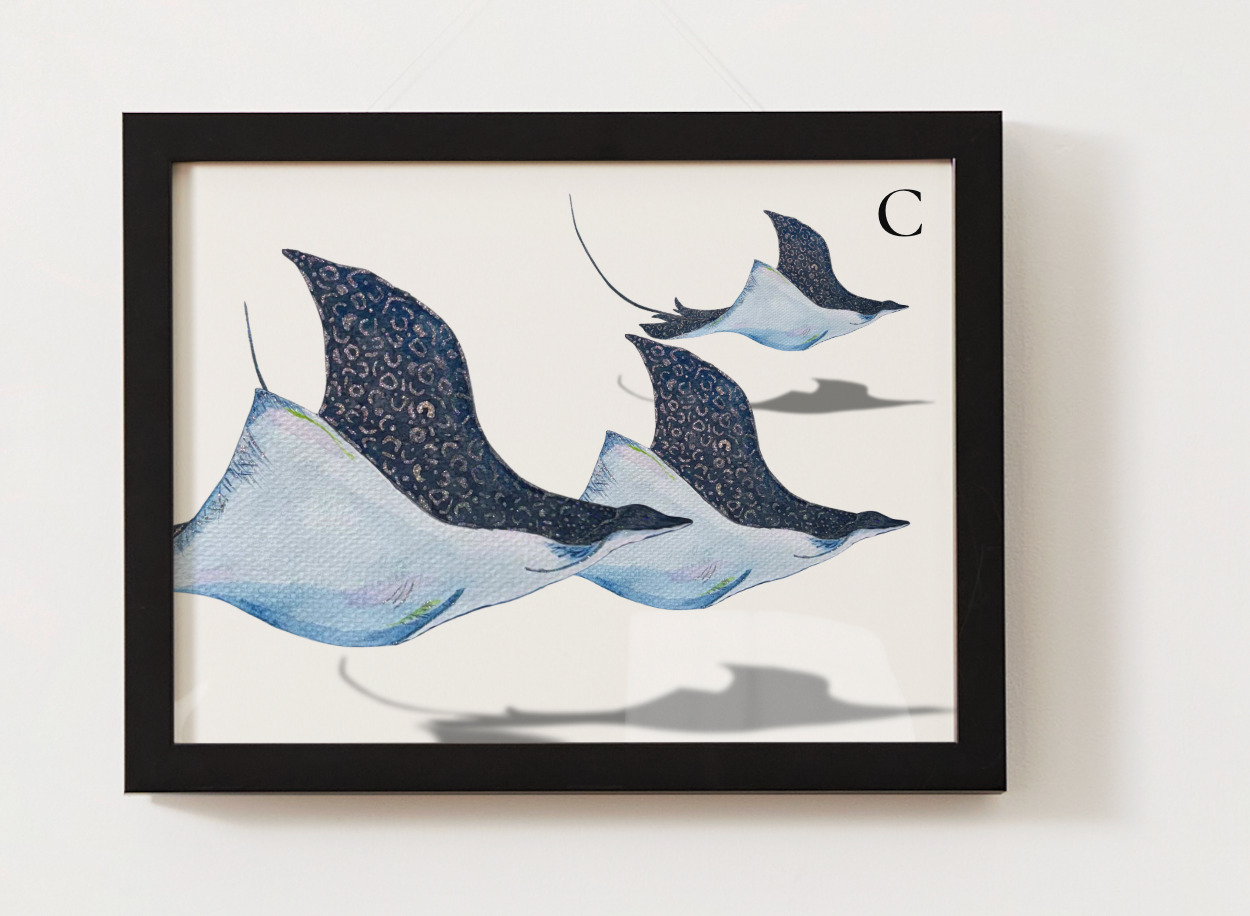 Spotted Eagle Ray