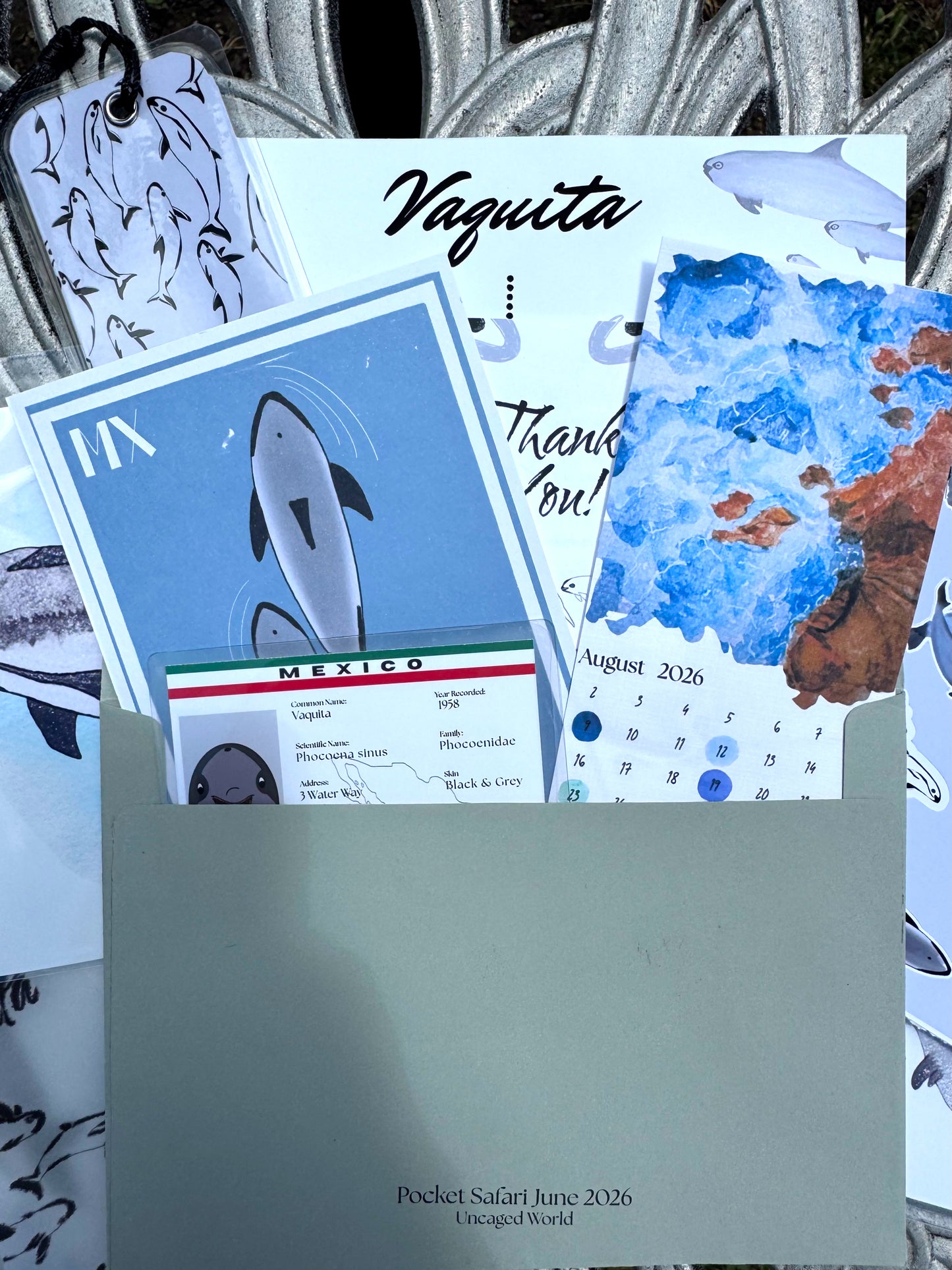 Pocket Safari Mail Club – June: Vaquita