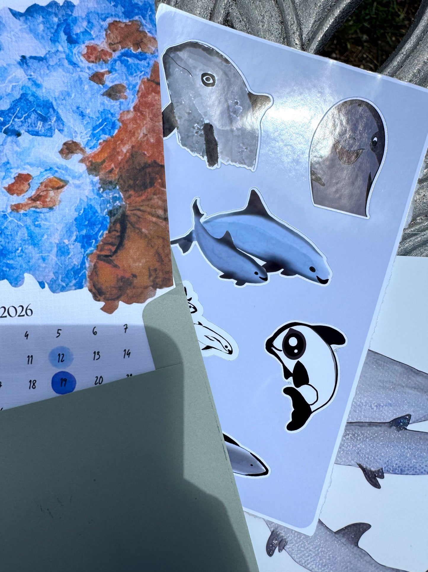 Pocket Safari Mail Club – June: Vaquita