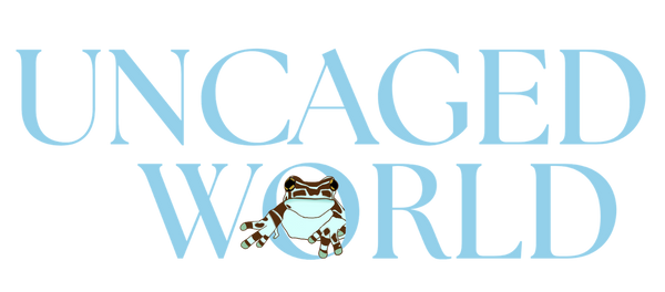Uncaged World