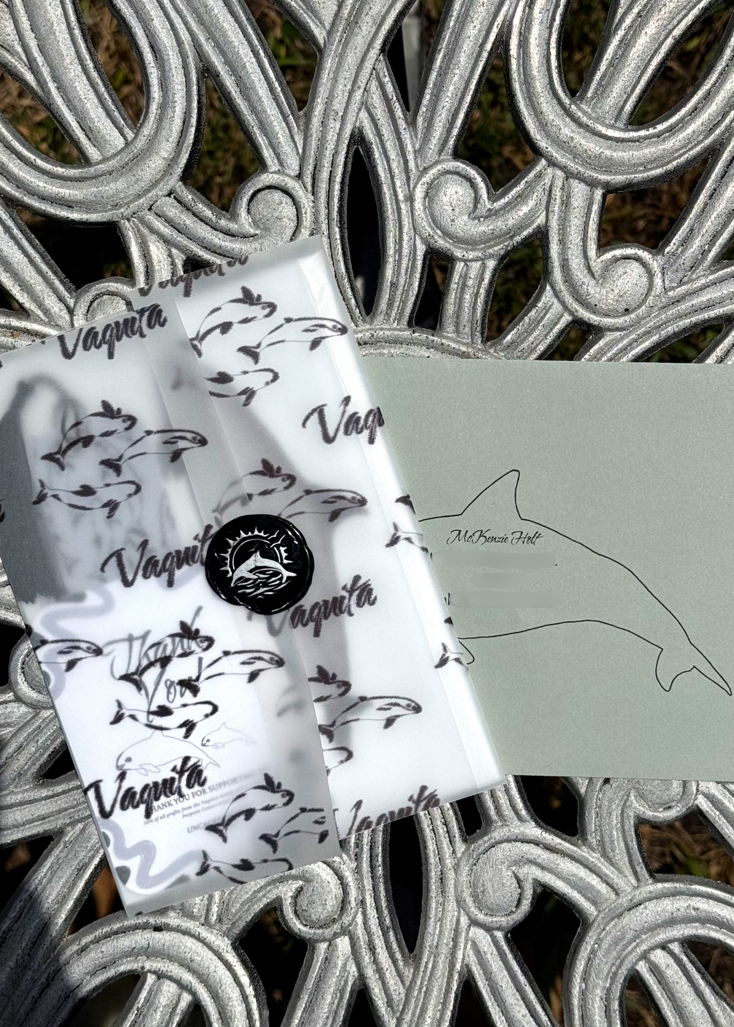 Pocket Safari Mail Club – June: Vaquita